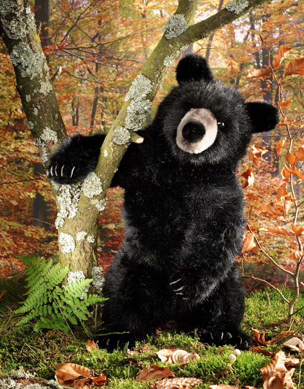 Black bear by Kosen - 51cm