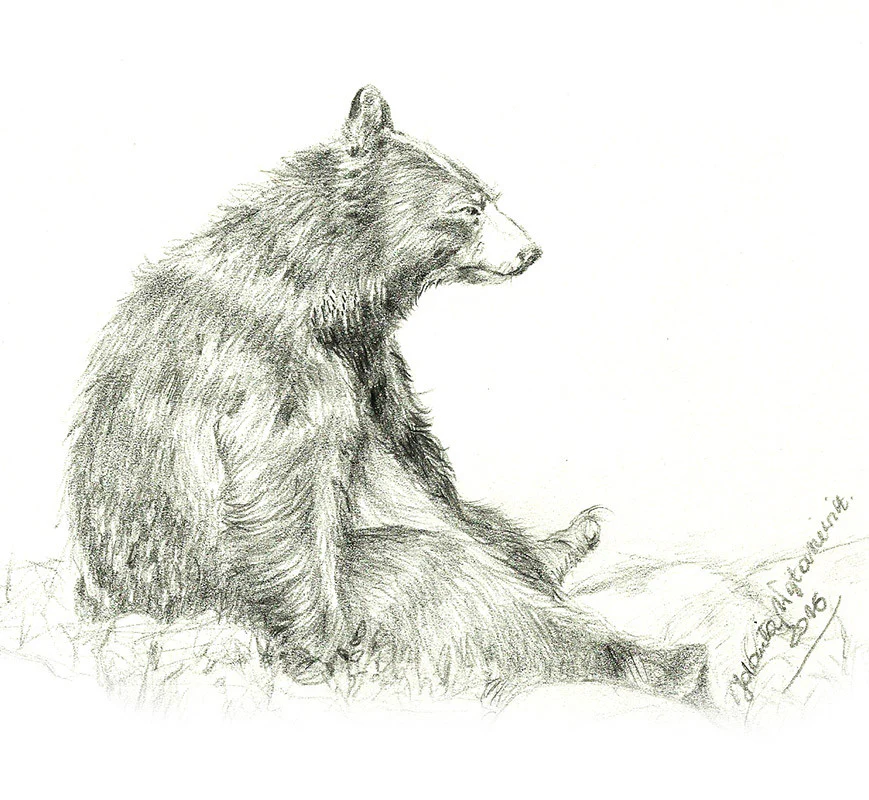Black Bear by Kosen - 70cm - Image 4