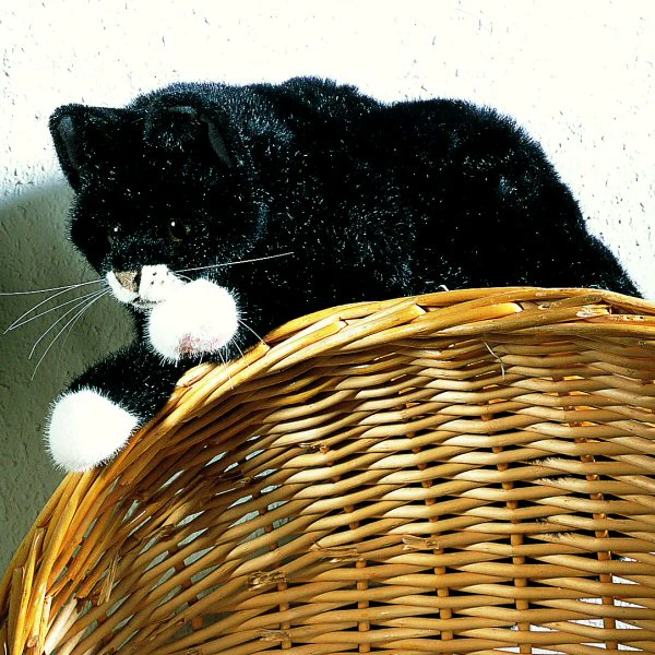 Cat by Kosen - 50cm, black
