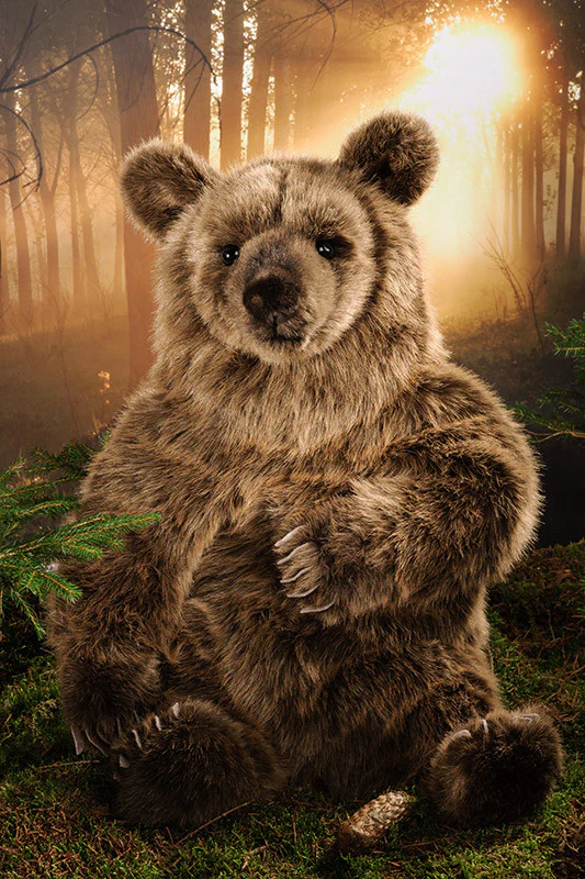 Brown Bear by Kosen - 70cm