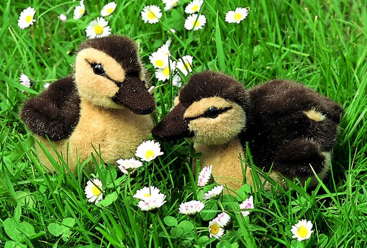 Duckling by Kosen - 19cm