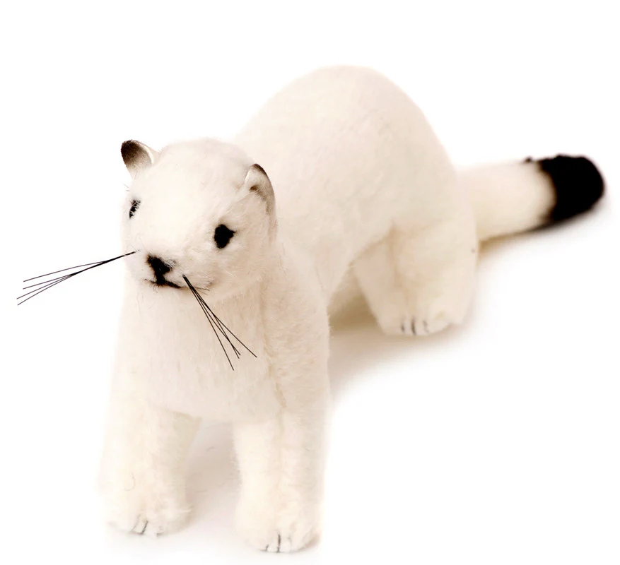 Ermine by Kosen - 29cm - Image 2