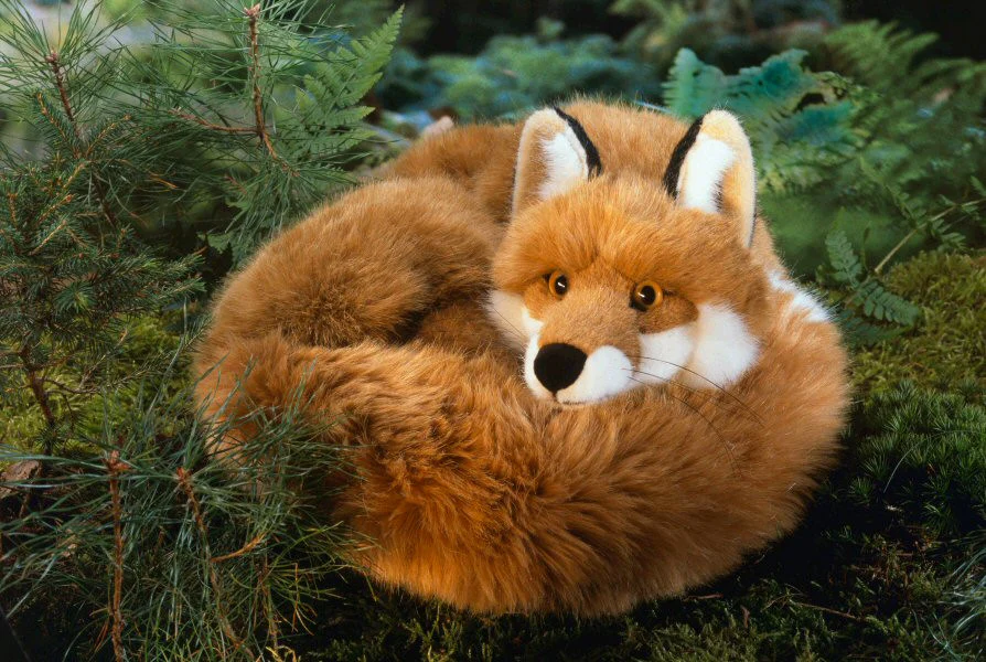 Fox by Kosen - 55cm