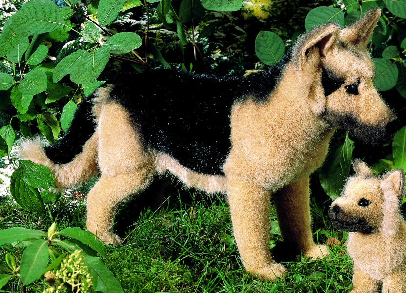 German Shepherd by Kosen - 44cm
