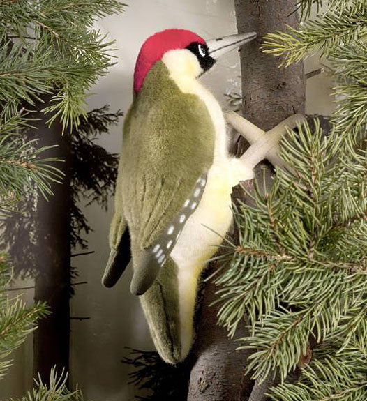 Green Woodpecker by Kosen - 27cm - Image 2