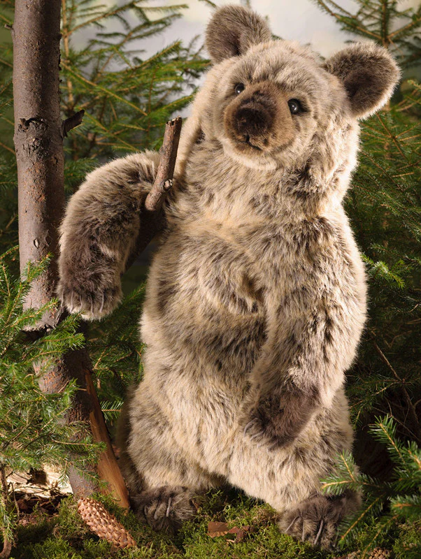 Grizzly Bear by Kosen - 70cm - Image 2