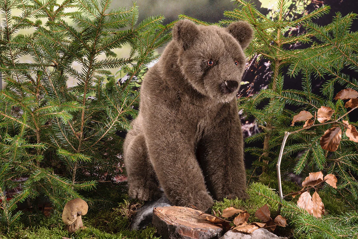 Jurka - brown bear limited edition by Kosen - 29cm - Image 2