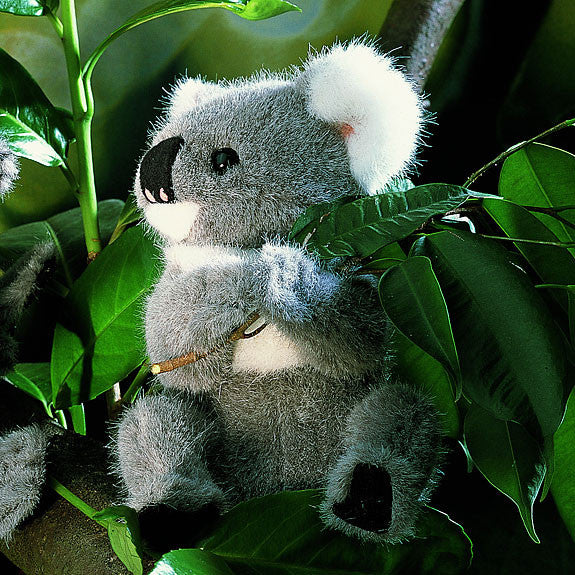 Koala bear cub by Kosen - 16cm
