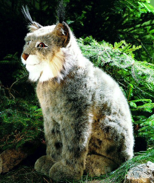 Lynx by Kosen - 43cm - Image 2
