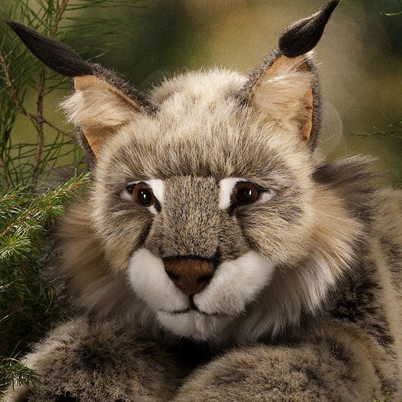 Lynx by Kosen - 59cm - Image 3