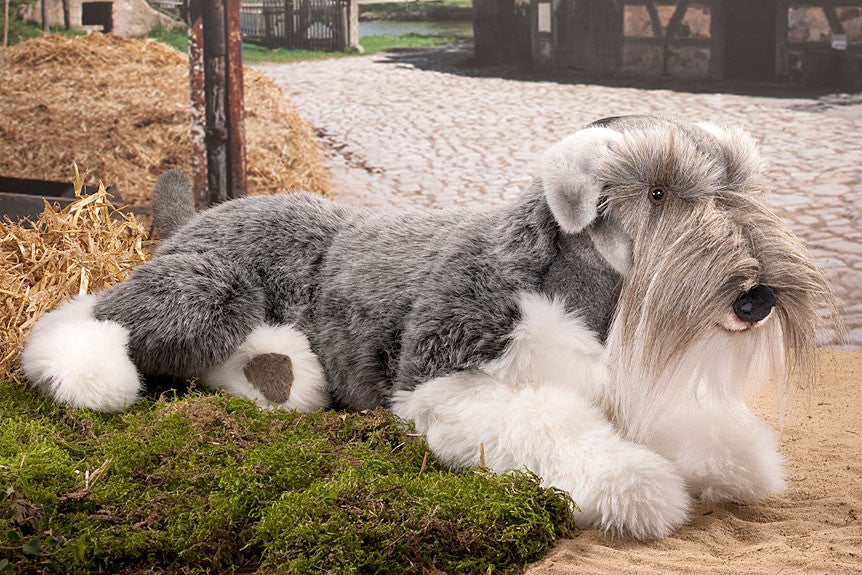 Miniature Schnauzer by Kosen - 70cm