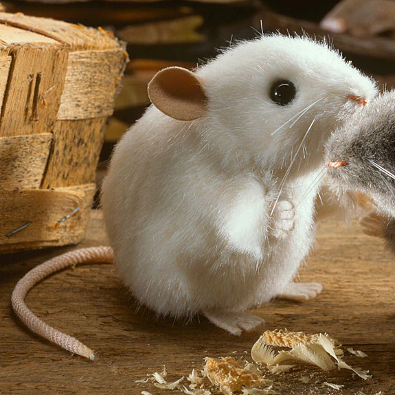 Mouse by Kosen - 10cm, white