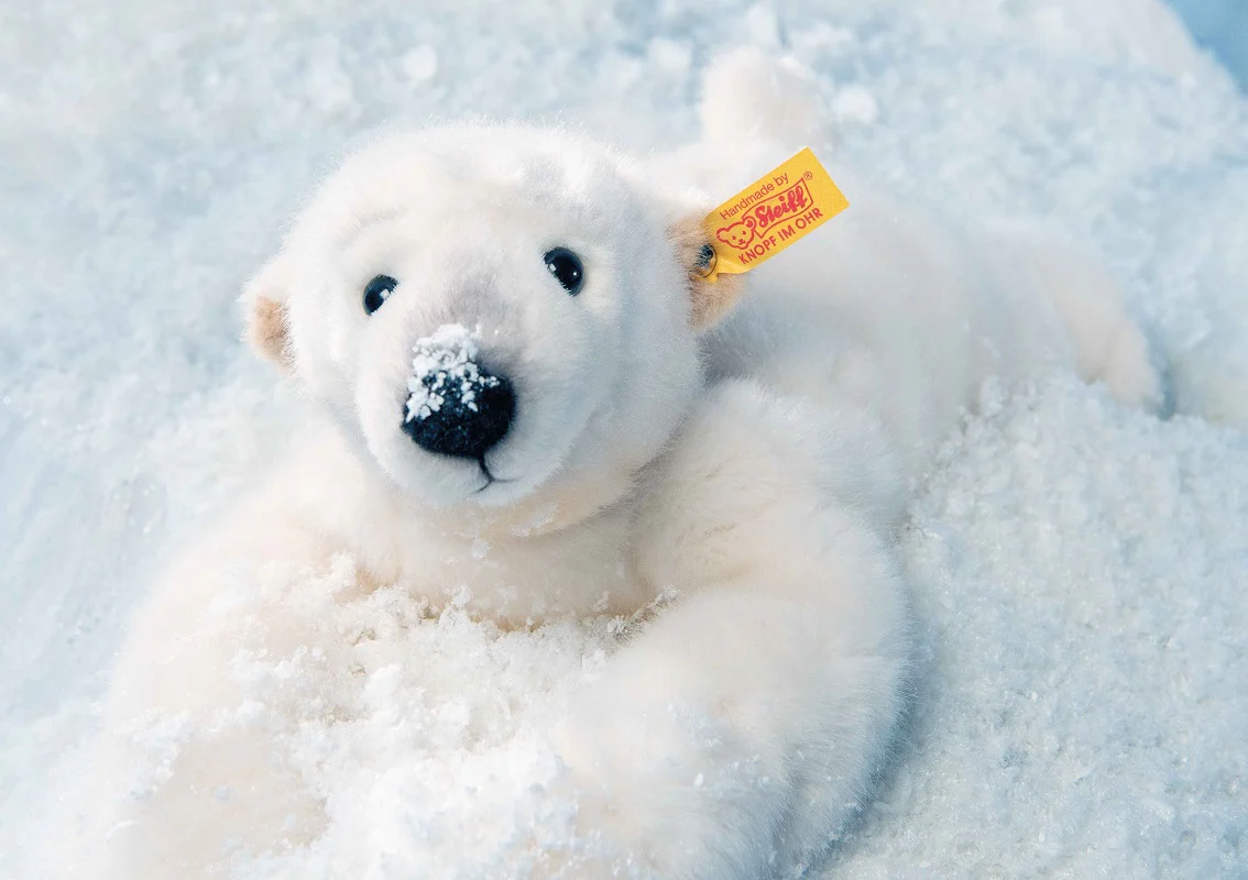 Nanouk Polar Bear by Steiff - 33cm - Image 3