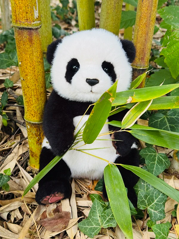 Panda by Teddy Hermann - 28cm - Image 5