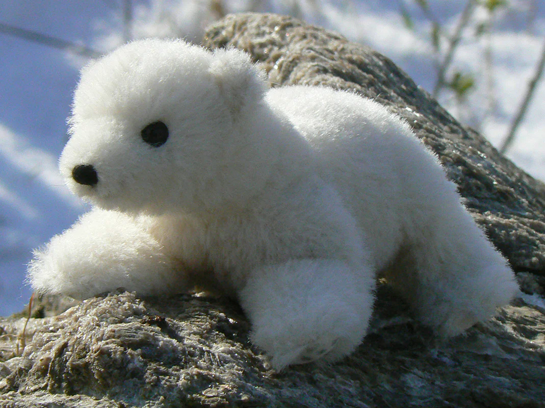 Nurri - Polar Bear Cub Limited Edition by Kosen - 16cm - Image 3