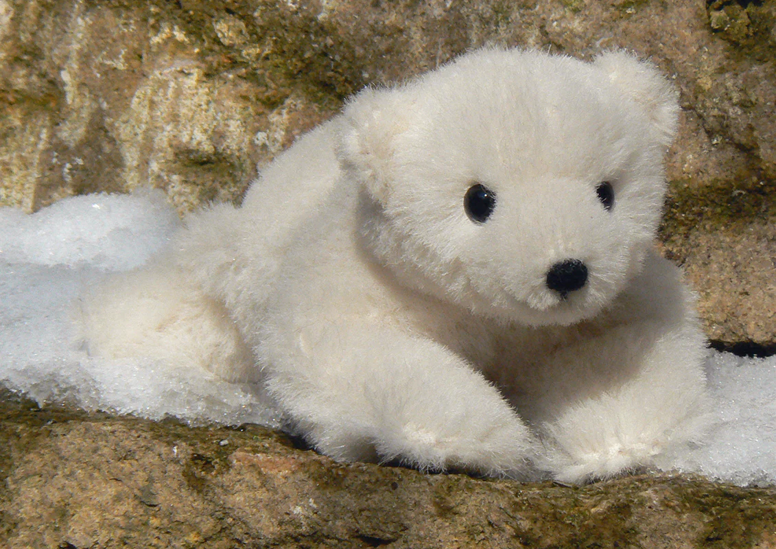 Nurri - Polar Bear Cub Limited Edition by Kosen - 16cm - Image 4