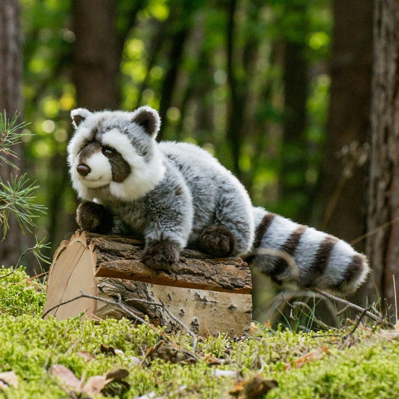 Raccoon by Teddy Hermann - 29cm - Image 4
