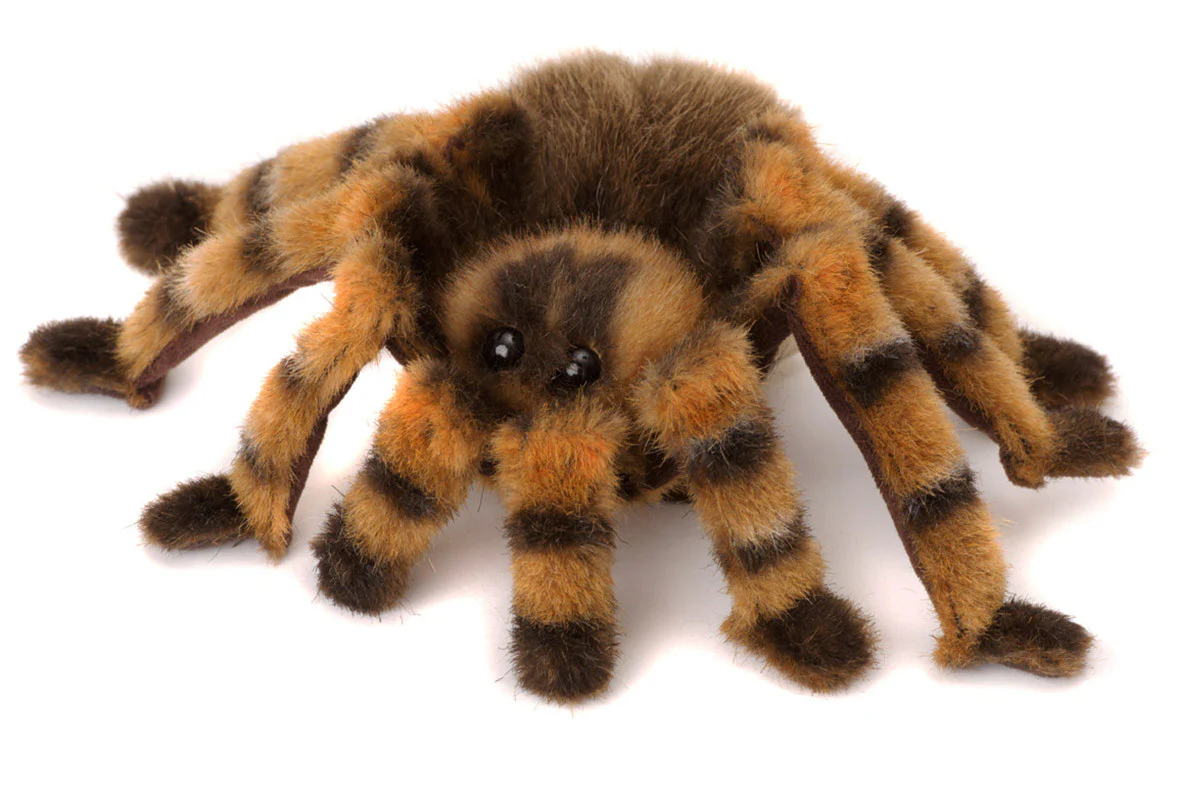 Red-Kneed Tarantula by Kosen - 22cm - Image 2