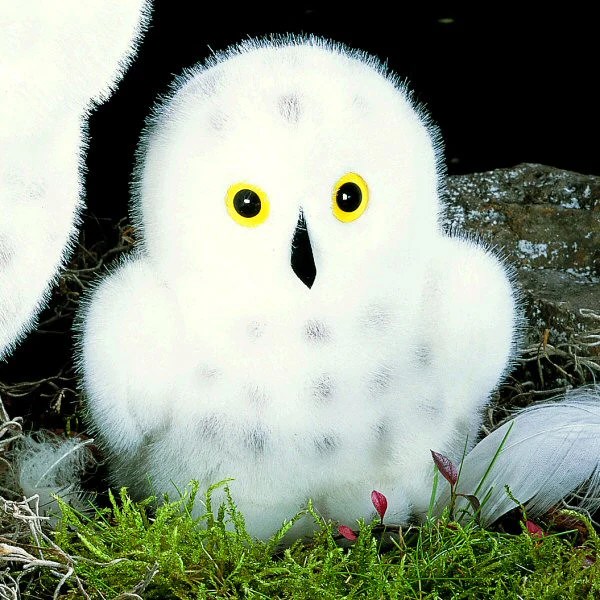 Snowy Owl chick by Kosen - 15cm - Image 2