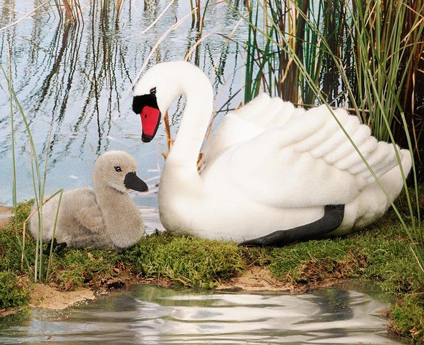 Swan Cygnet by Kosen - 19cm - Image 2