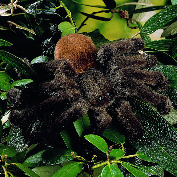Tarantula by Kosen - 22cm