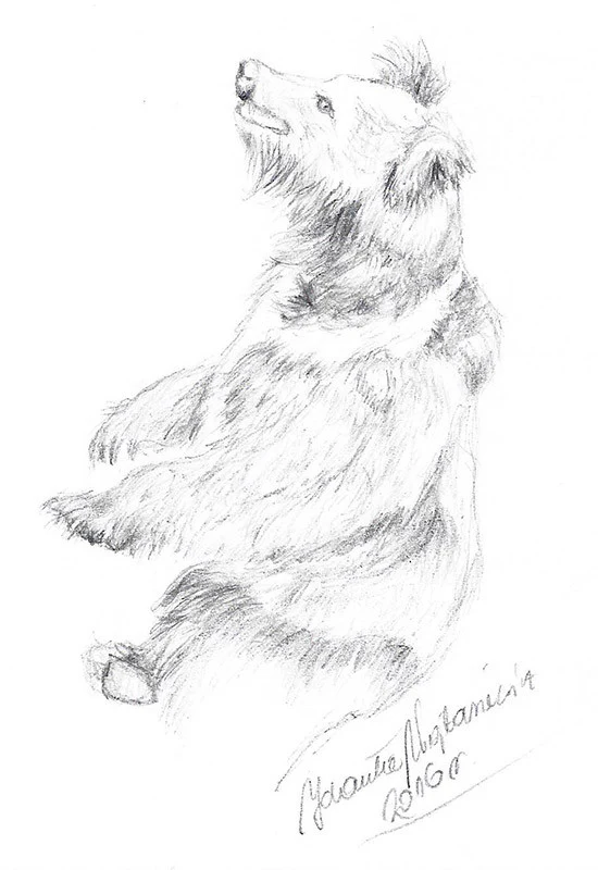 Tibetan Bear by Kosen - 23cm - Image 2