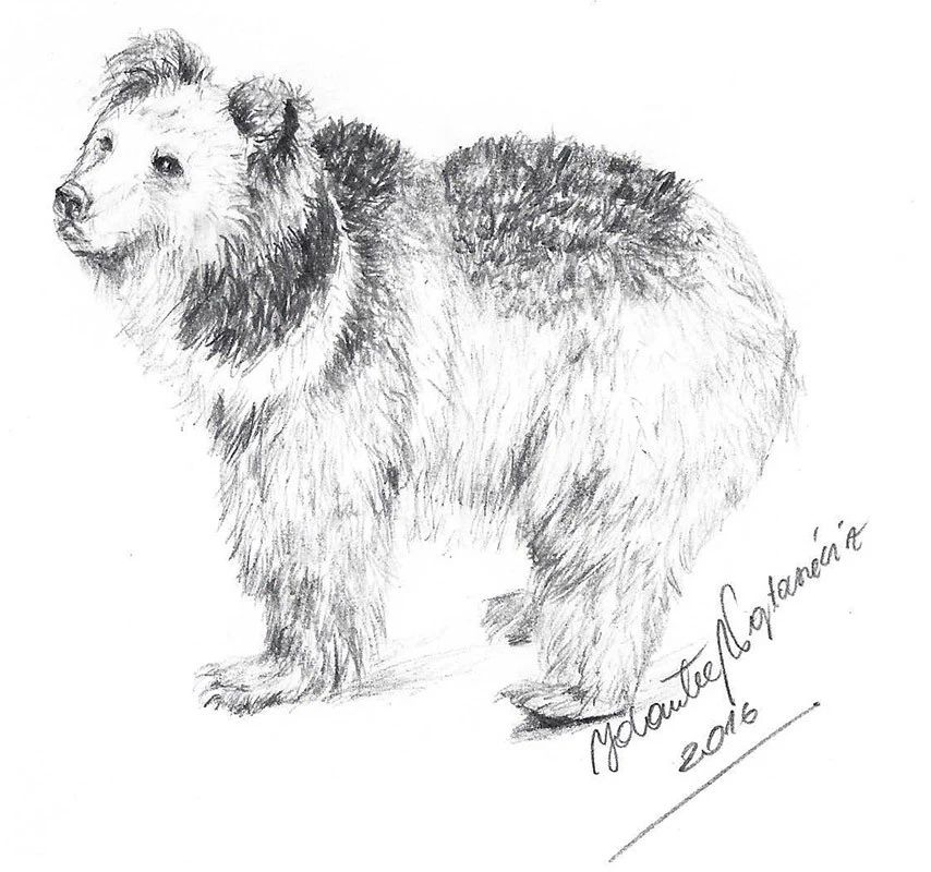 Tibetan Bear by Kosen - 23cm - Image 3