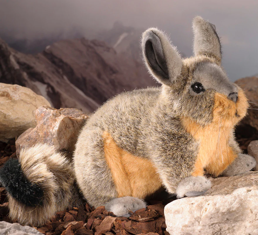 Viscacha Chinchilla by Kosen - 25cm - Image 2